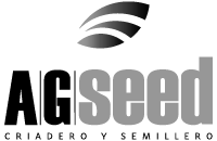 clients-logo